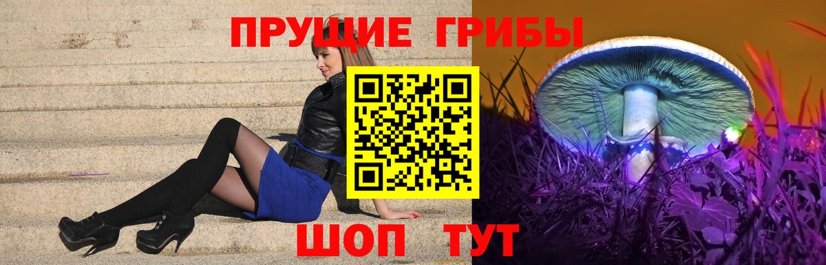 Галлюциногенные грибы мухоморы  Вход с VPN  Назарово  продажа наркотиков  Псилоцибиновые грибы MAGIC MUSHROOMS 